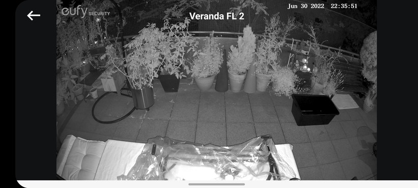 Eufy Floodlight Cam (Full-HD): Nachtsicht ohne Beleuchtung