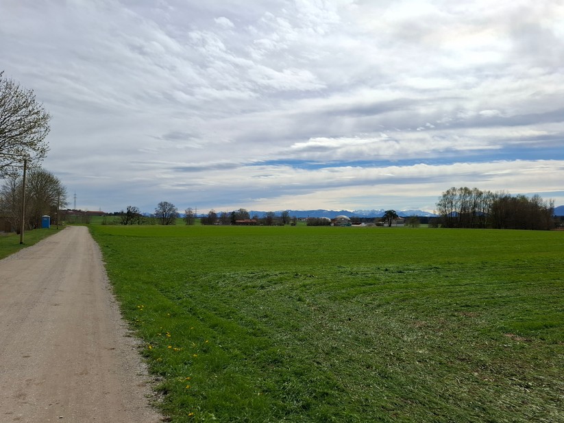 Samsung Galaxy A55 – Originalaufnahmen