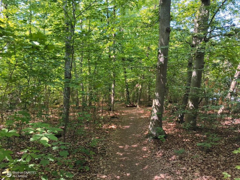  Hauptkamera