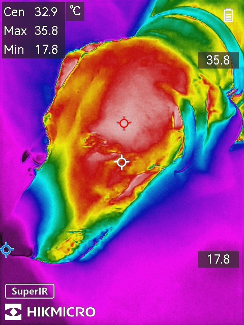 Hikmicro Minix Screenshots