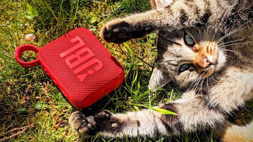 JBL Go 4