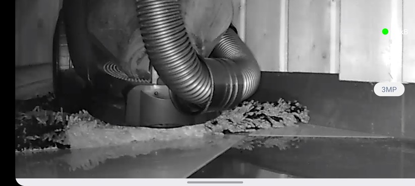 Myannke-App: Setup und Einstellungen