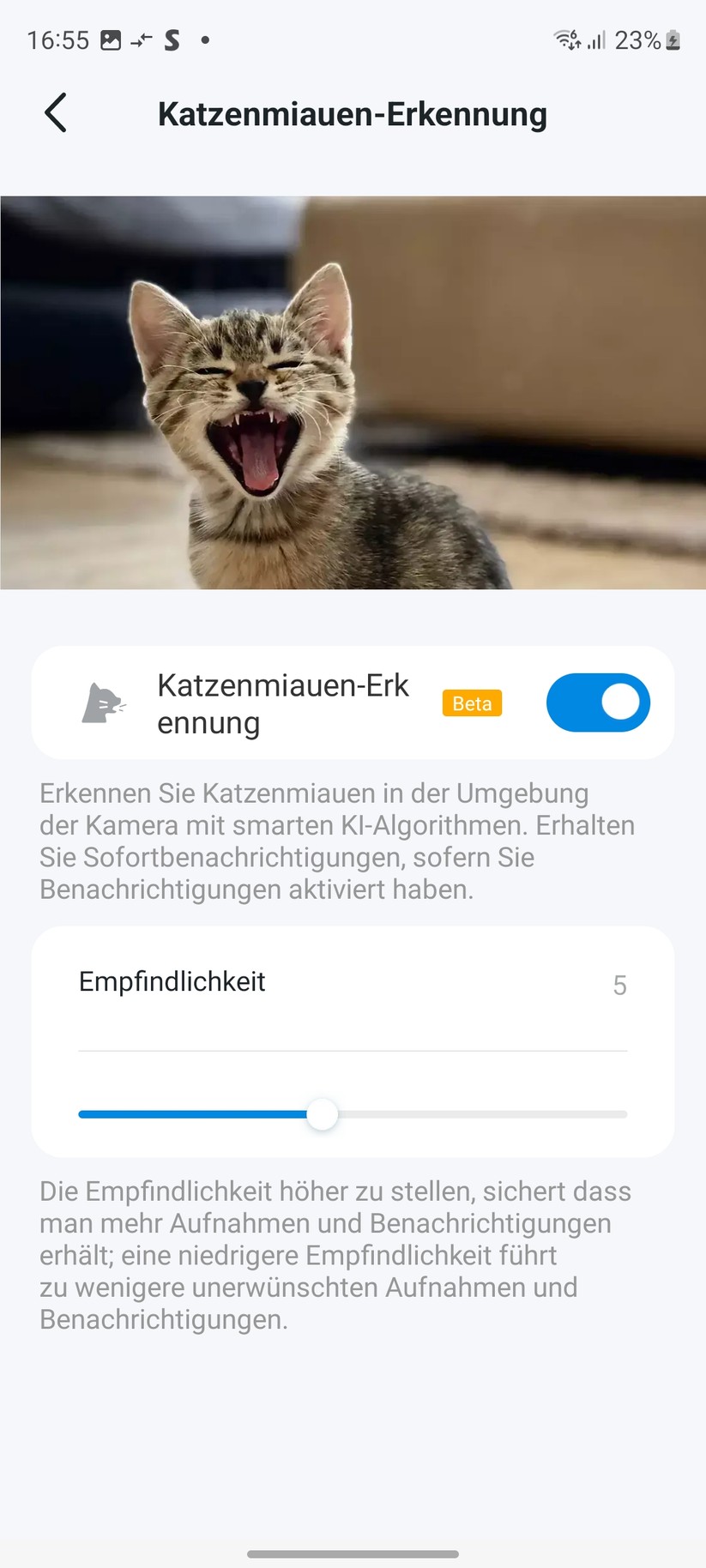 TP-Link Tapo C225: Einrichtung und Einstellungen