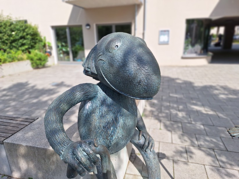 Samsung Galaxy A54 - Originalaufnahmen 