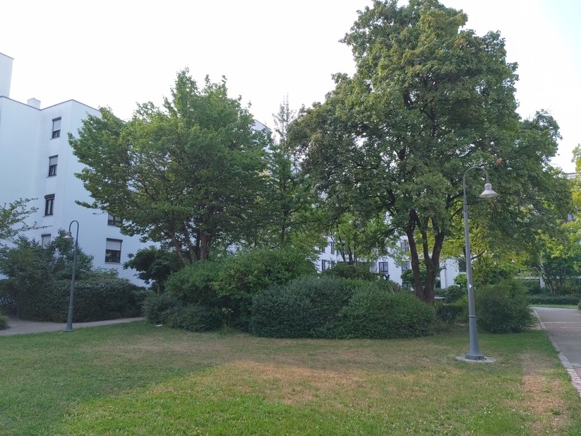 AGM G2 Guardian - Originalaufnahmen