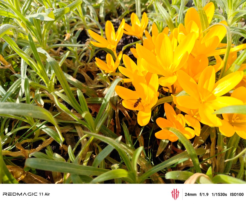 Testfoto – Redmagic 11 Air 