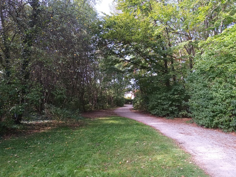 Doogee V31GT - Originalaufnahmen 