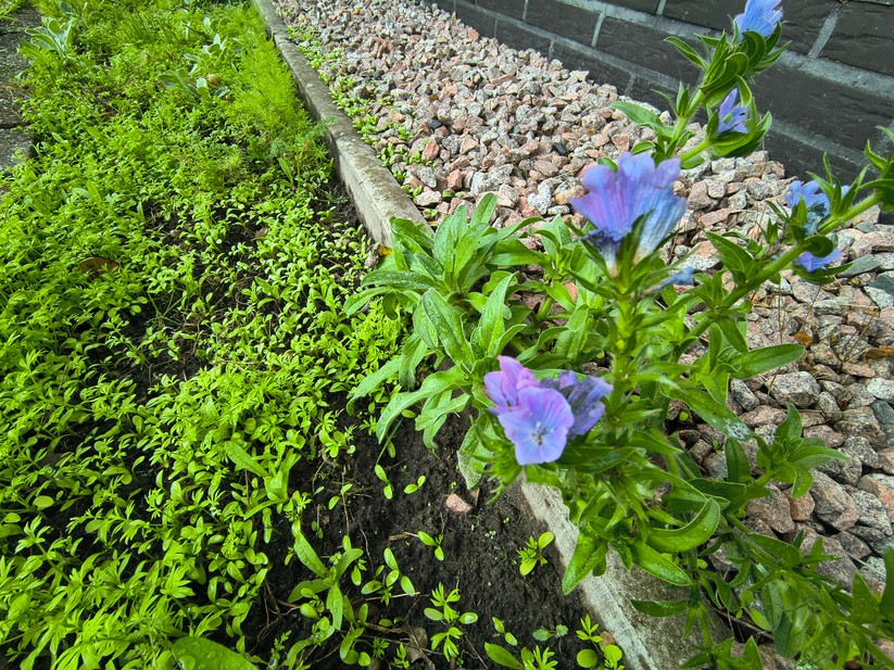 Motorola Razr 60 - Originalaufnahmen