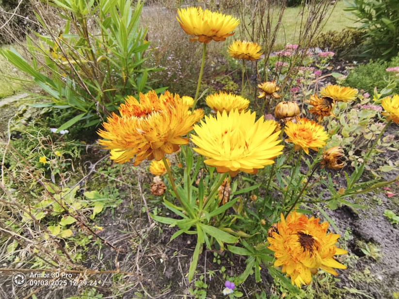 Ulefone Armor 30 Pro - Originalaufnahmen