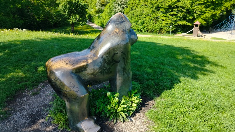 Realme 9 - Originalaufnahmen 