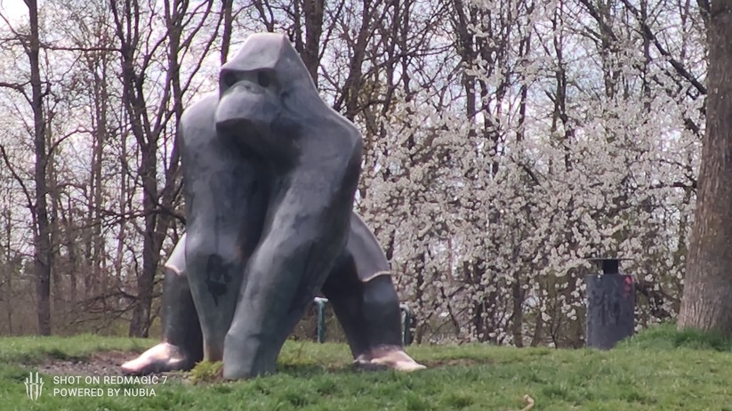 Nubia RedMagic 7 - Originalaufnahmen