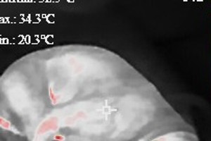 Testaufnahmen Topdon TC004 Mini