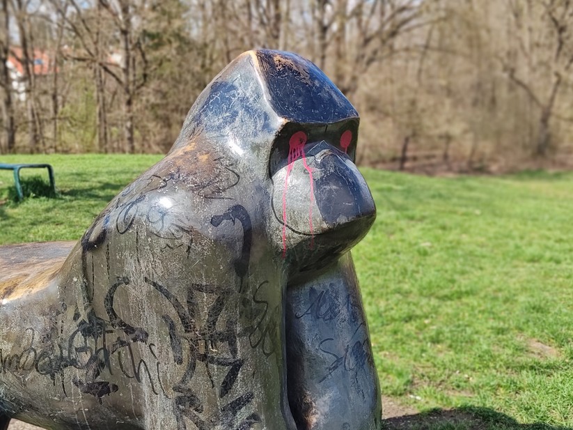 Motorola Edge 40 Pro - Originalaufnahmen