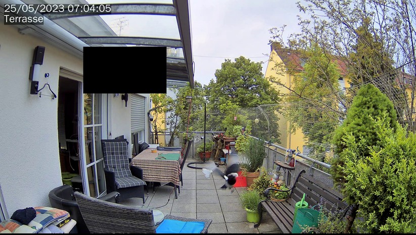 Synology BC500: Beispielbilder Vogel