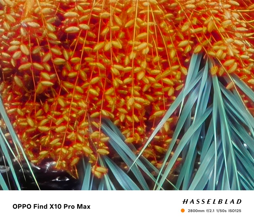 Oppo Find X10 Pro Max