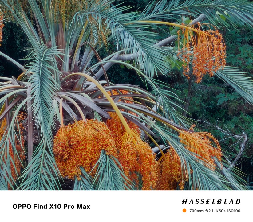Oppo Find X10 Pro Max