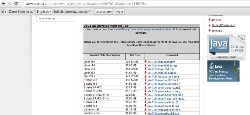 2. Richtige JDK-Version herunterladen