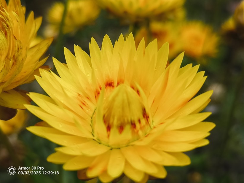 Ulefone Armor 30 Pro - Originalaufnahmen