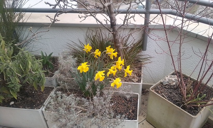 Foto mit dem Nokia T20