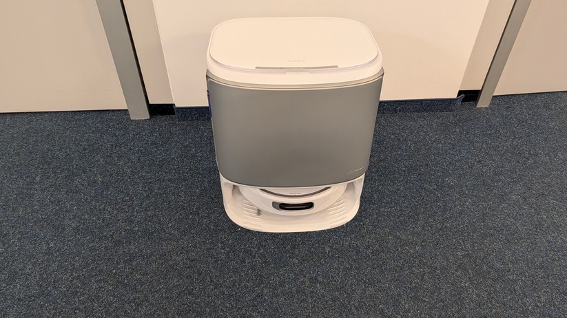 Narwal Flow – Bilderstrecke