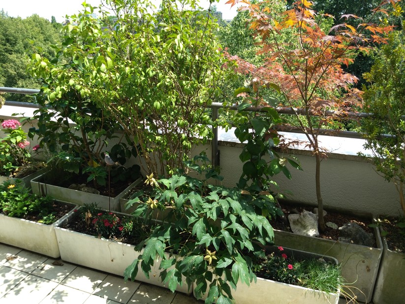 Sony Xperia 10 IV - Originalaufnahmen 