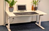 Assmann Y-Line