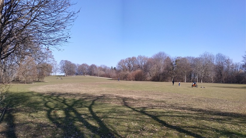 Fotoaufnahme des Nokia 5.4