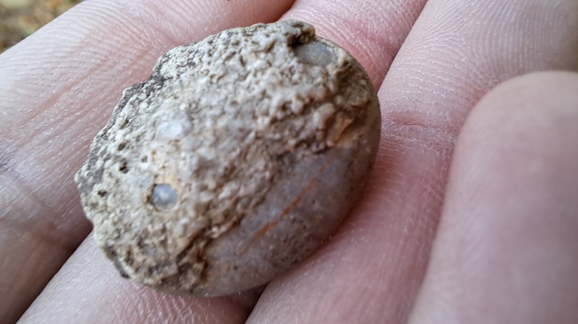 Samsung Galaxy A53 - Originalaufnahmen 