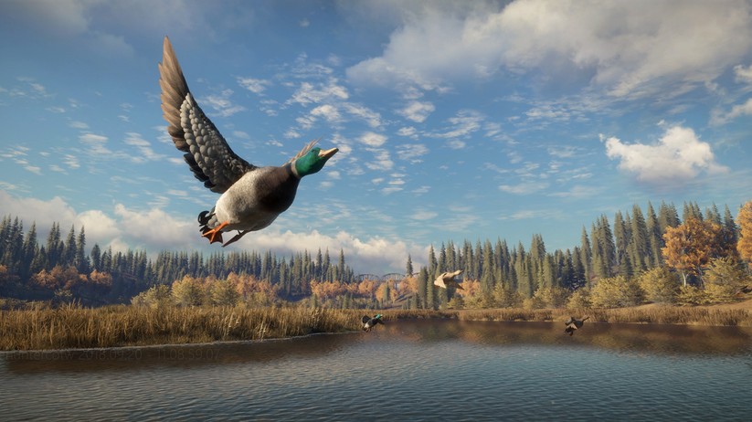 theHunter