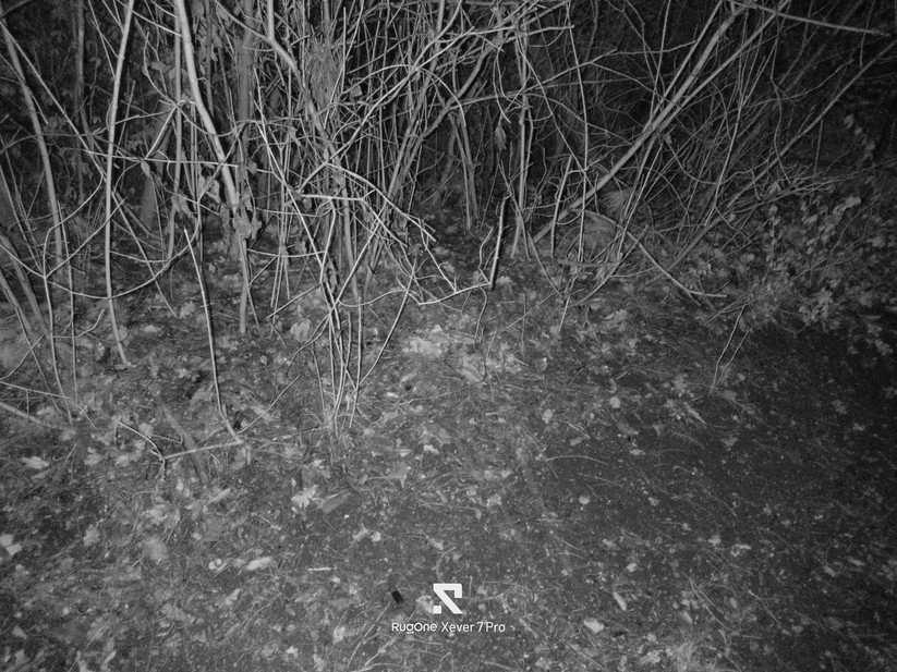 Rugone Xever 7 Pro - Originalaufnahmen