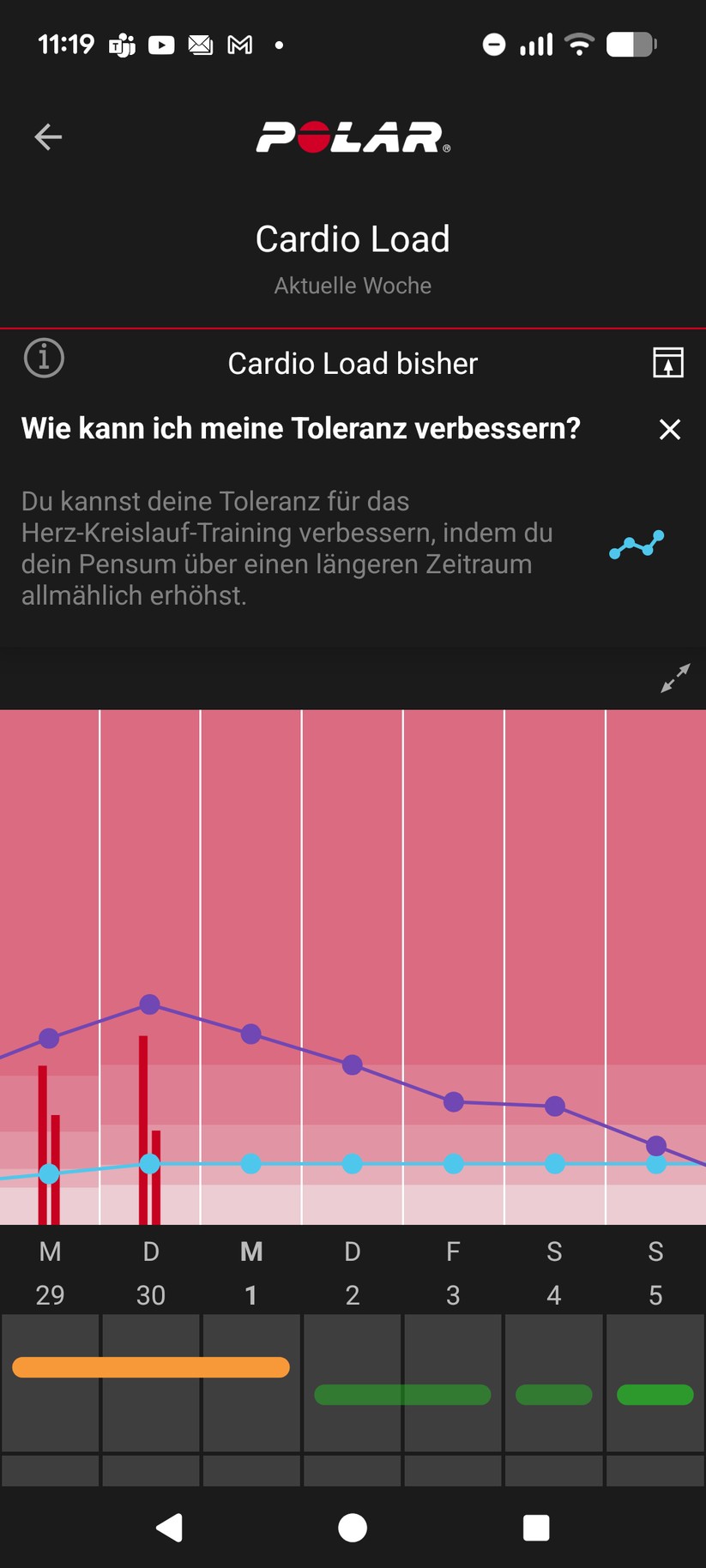 Polar Loop - App 