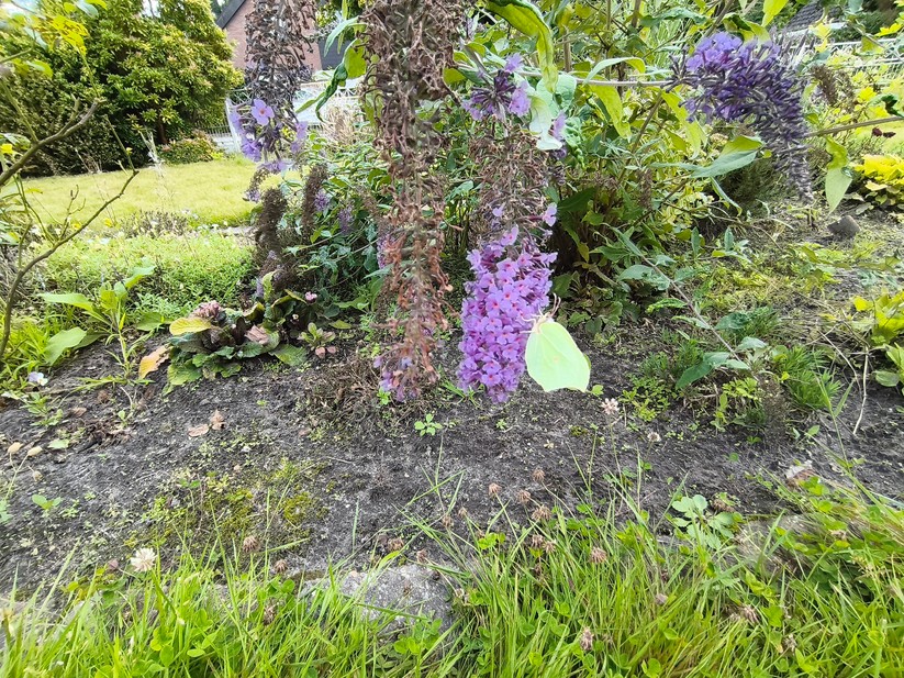 CMF Phone 2 Pro - Originalaufnahmen 