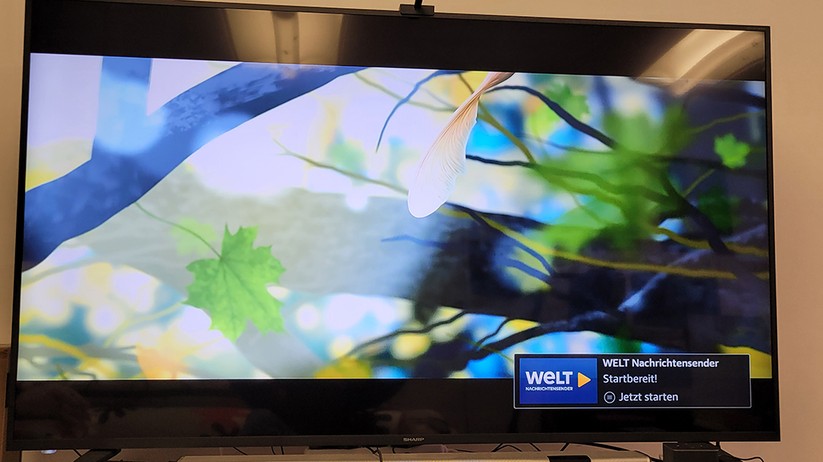 Fire TV Cube: Alexa-Heimkino