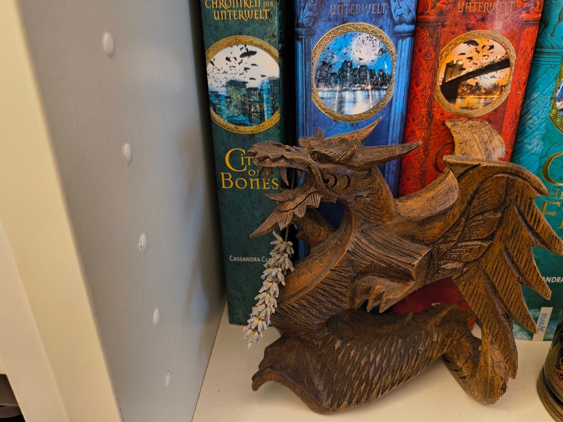 Motorola Razr 60 - Originalaufnahmen