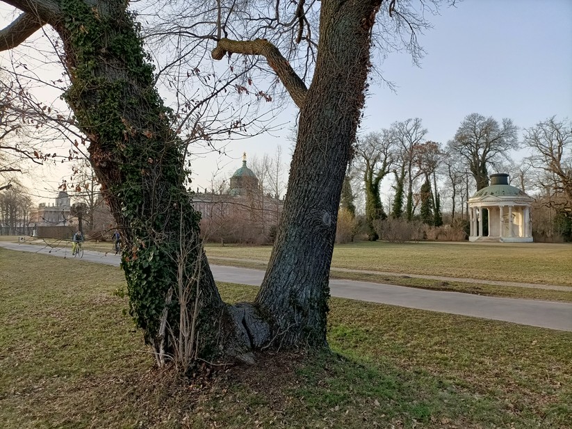 Oppo Reno 4 Z 5G