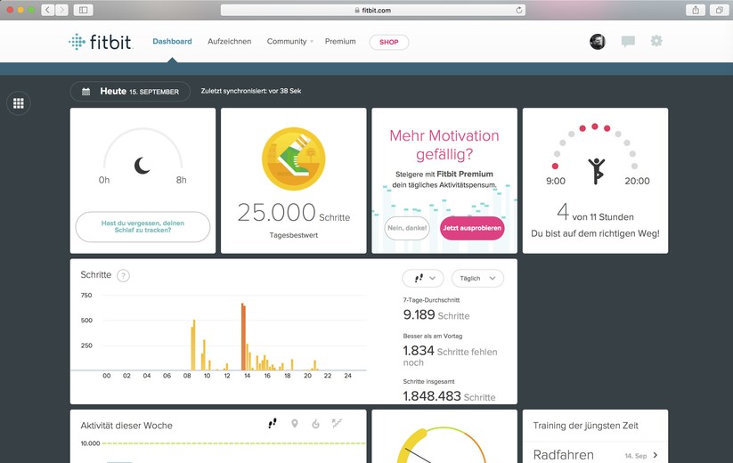 Mit dem großzügigen Design macht das Fitbit-Webinterface Spaß.