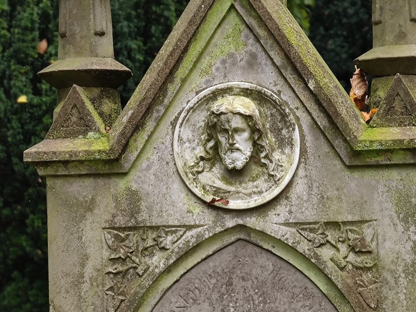 10fache Vergrößerung Smartphone D