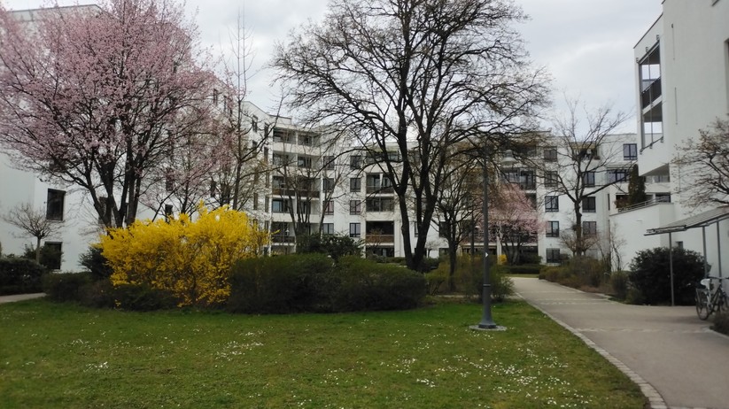 Cat S53 - Originalaufnahmen