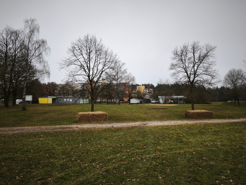 Xiaomi 15T - Originalaufnahmen