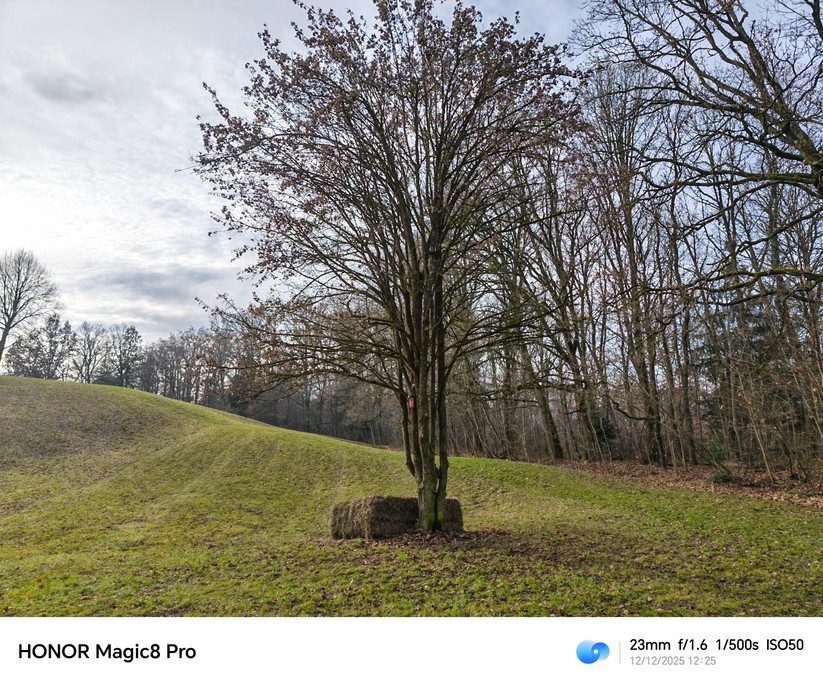 Honor Magic 8 Pro - Originalaufnahmen 