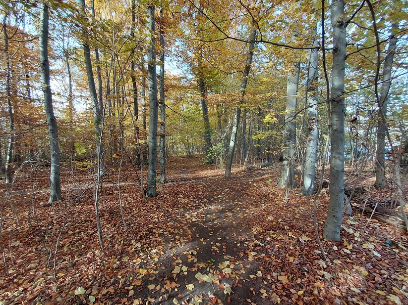 Samsung Galaxy Xcover 7 Pro – Originalaufnahmen