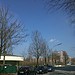 Testfoto geschossen mit einem LG P990 OPTIMUS Speed | BestBoyZ
