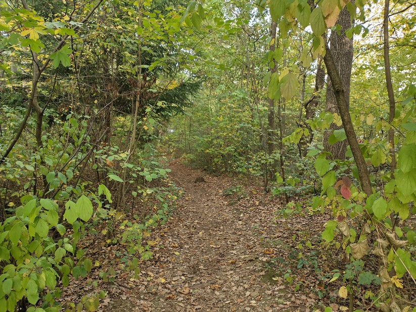 Nokia XR21 - Originalaufnahmen 