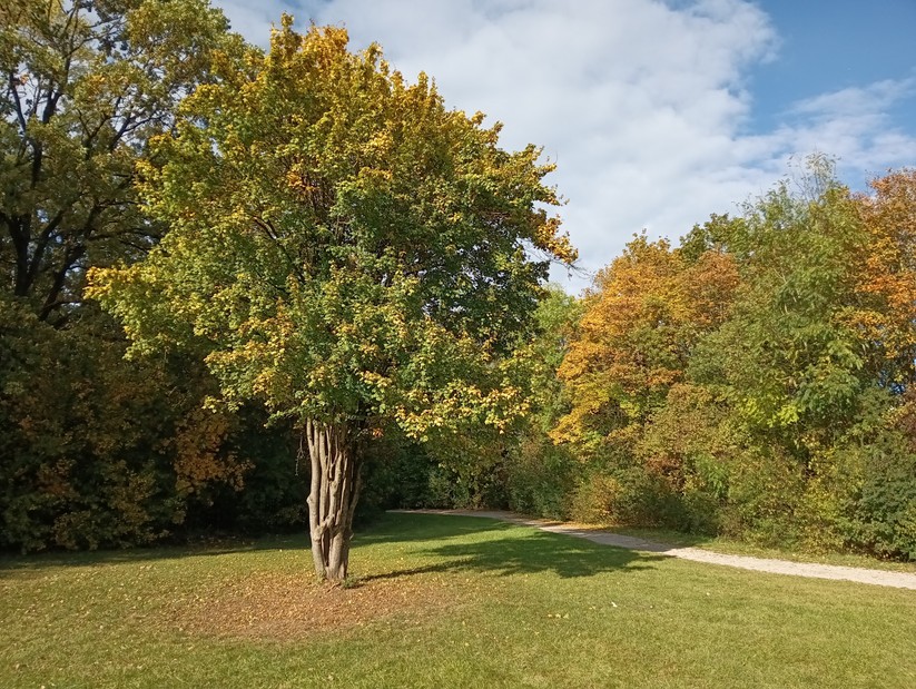 Cat S75 - Originalaufnahmen