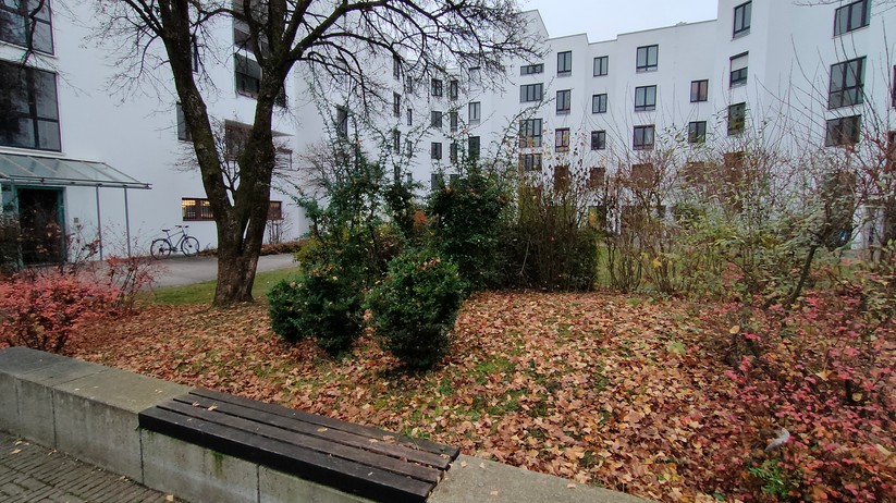 Fotos des Realme GT Neo 2