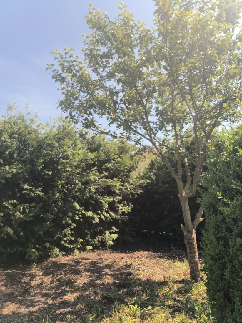 Oukitel WP100 Titan - Originalaufnahmen 