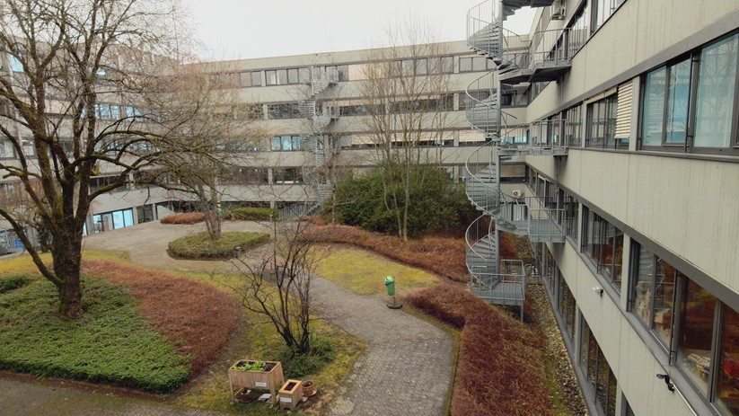 Dell Ultrasharp 4K WB7022: Auch die Aufnahmequalität von Fotos überzeugt.