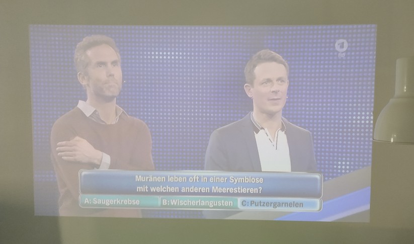 Der Zenbeam E1 liefert ein blasses Bild.