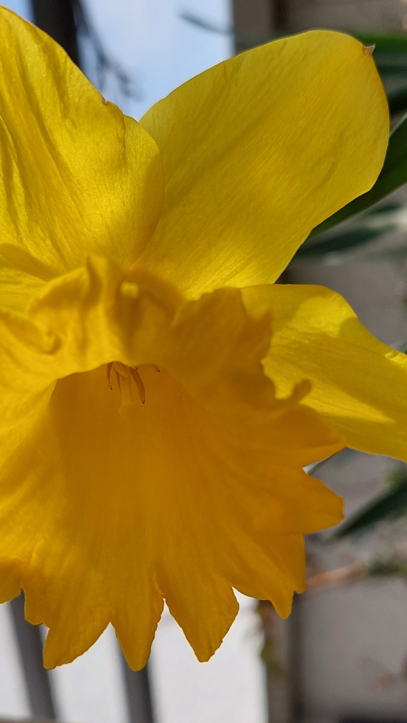 Mit dem Samsung Galaxy A52 geschossene Fotos