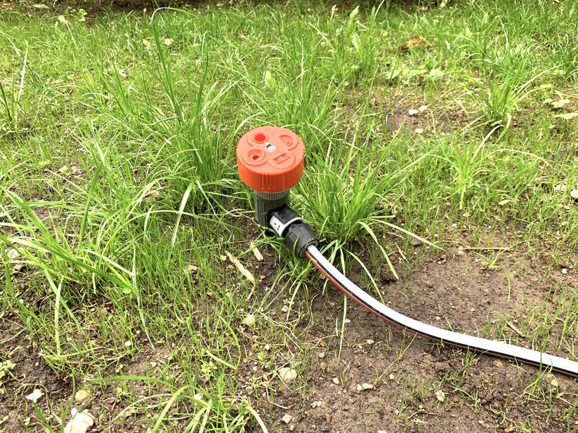 Ein neuer Rasen ist gesäht und soll regelmäßig bewässert werden? Dann reicht ein simpler Timer.